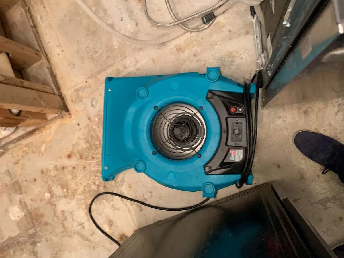 Air mover drying equipment for Mold Remediation & Removal in Mount Prospect